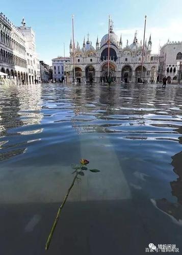 威尼斯8008（威尼斯80%被淹）